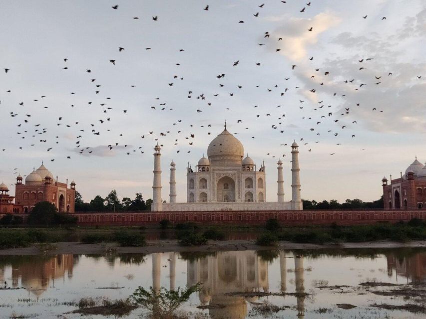 From Delhi:- Taj Mahal Private Guide Tour With Options - Key Points