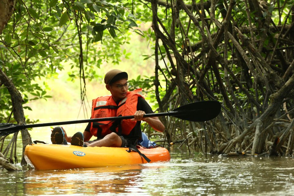 From Desaru: Lebam River Kayak Trip With Boat Cruise - Key Points