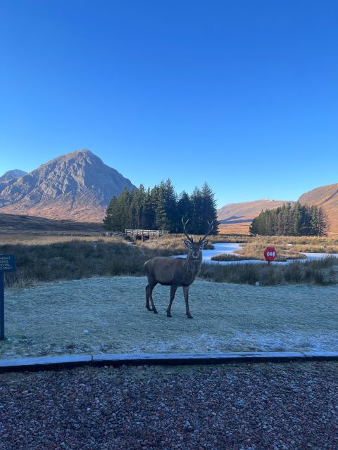 From Edinburgh: Glenfinnan, Fort William & Glencoe Day Tour - Key Points