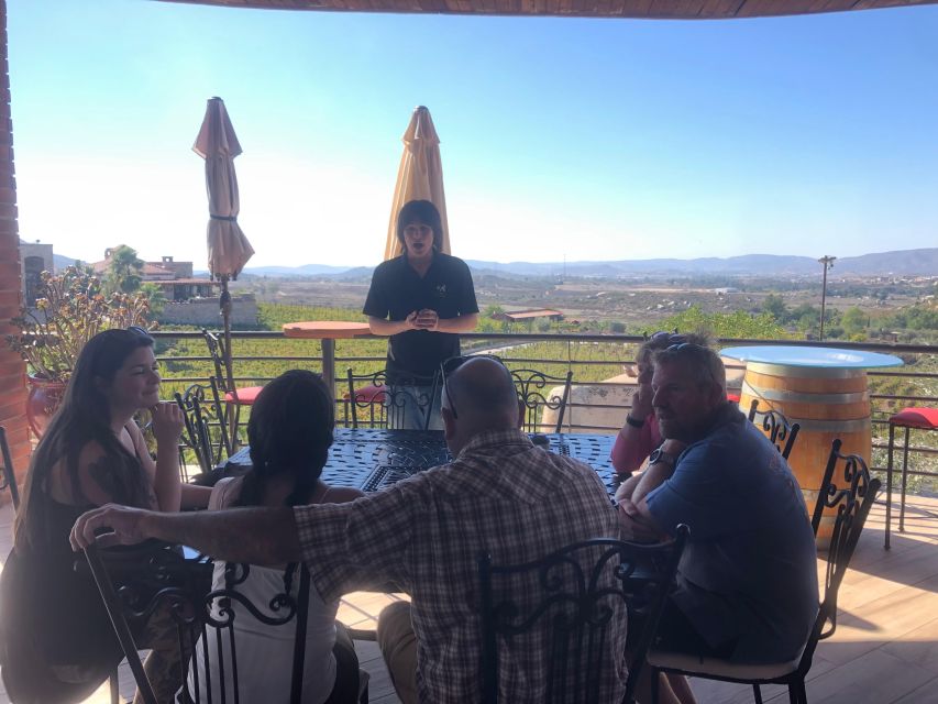 From Ensenada: Wine Tasting at Guadalupe Valley Ensenada - Key Points