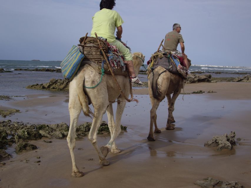 From Essaouira: Camel Tour With Overnight Stay in a Tent - Key Points