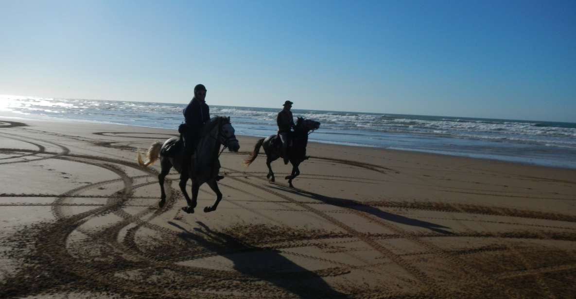 From Essaouira: Scenic Diabat Horseback Ride With Transfer - Key Points