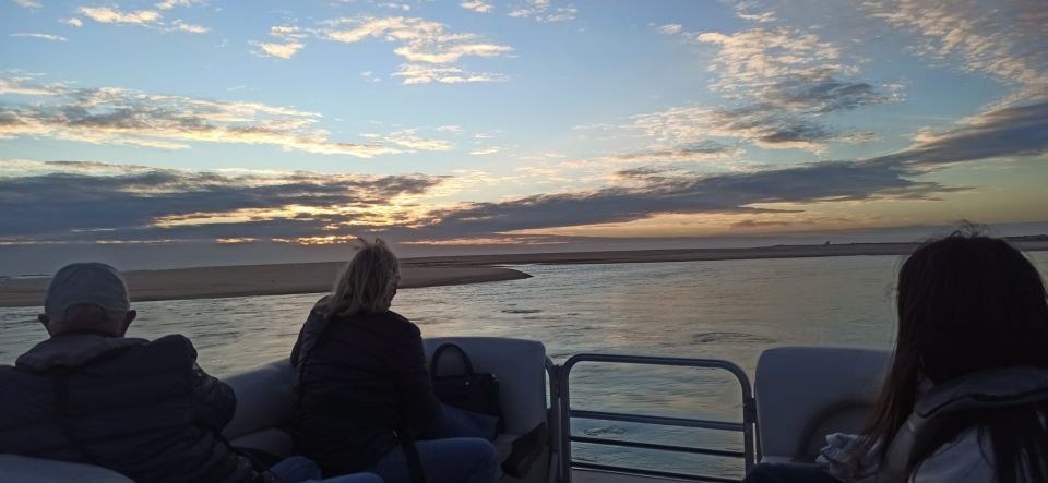 From Faro: Ria Formosa Islands Sunset Catamaran Cruise - Key Points