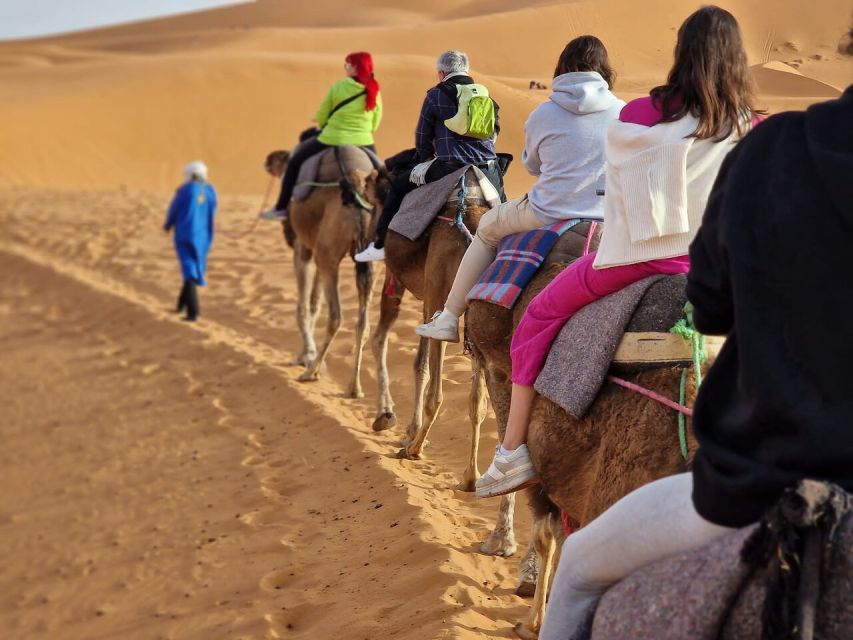 From Fes: 2-Day Erg Chebbi Desert Tour to Marrakech or Fes - Key Points