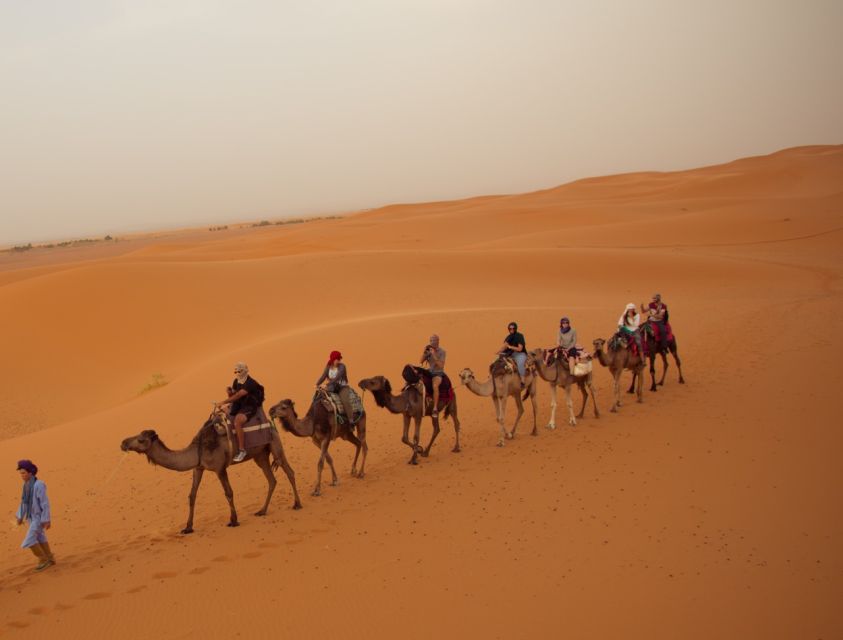 From Fes: 3-Day, 2-Night Desert Trip to Merzouga - Key Points