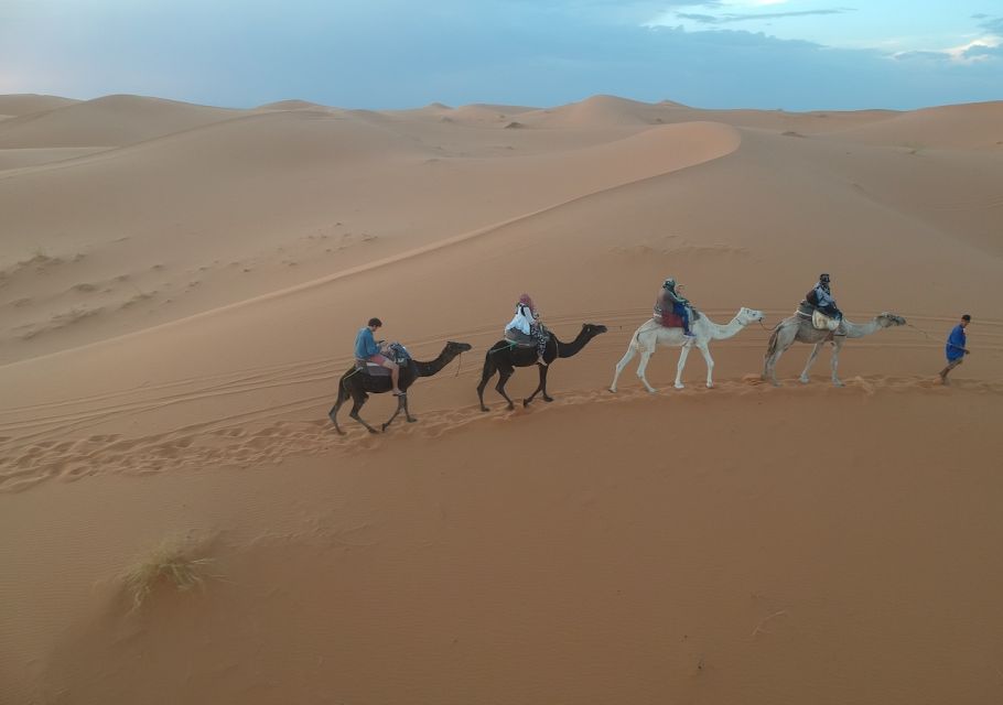 From Fes: 3-Day Sahara Desert Tour - Key Points