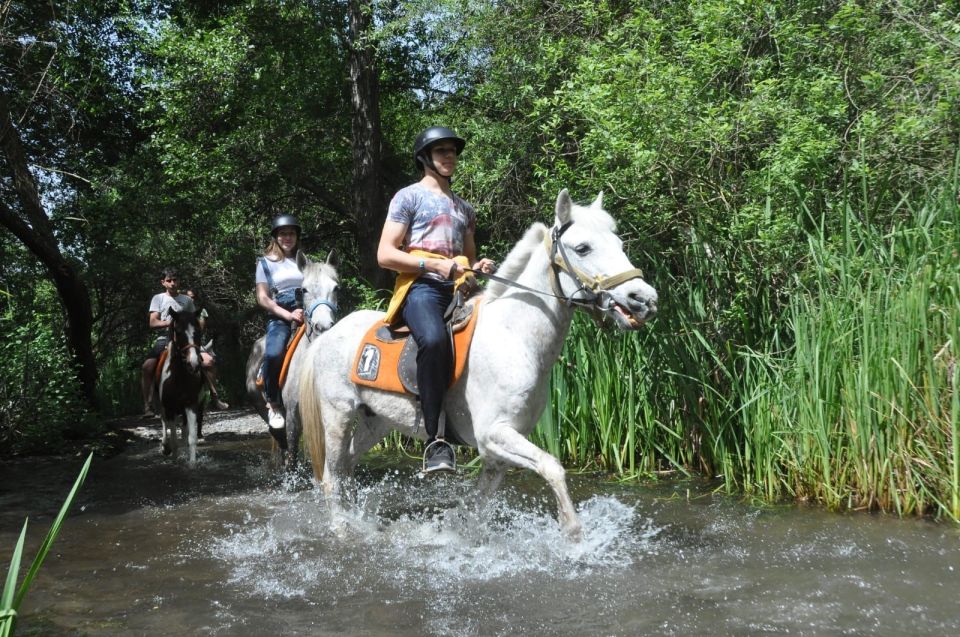 From Fethiye: Horse Riding Adventure - Key Points