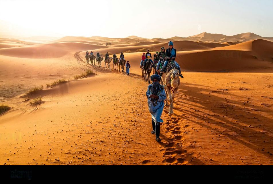 From Fez: 2-Day Sahara Desert Tour, Uncluding Merzouga Camp - Key Points