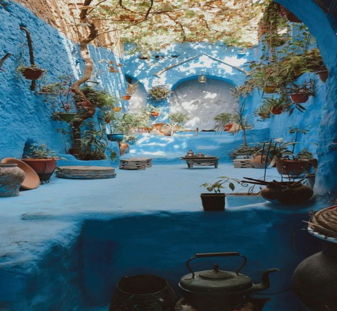 From Fez: Chefchaouen Guided Day Tour - Key Points