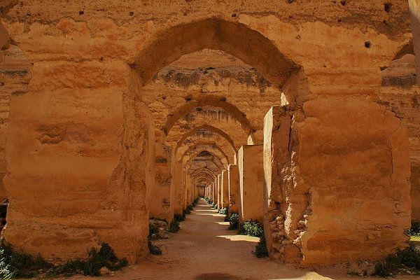 From Fez: Meknes, Volubilis and Moulay Idriss Day Trip - Key Points