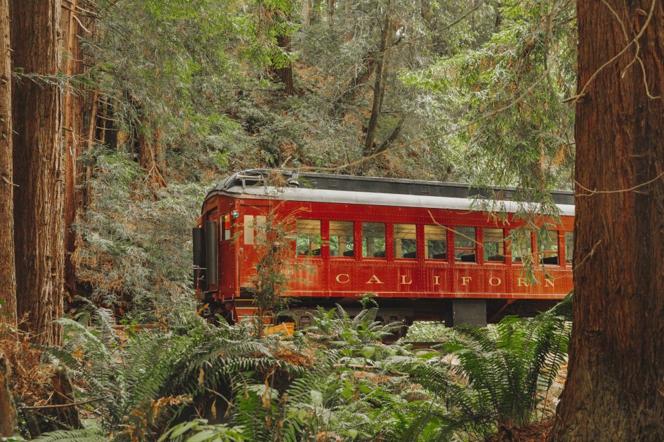 From Fort Bragg: Redwoods Train Ride and Nightclub Ticket - Key Points