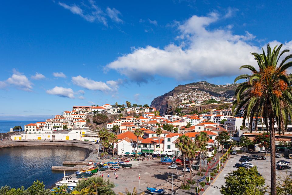 From Funchal: Best of Madeira Tour (Half-Day Tour) - Key Points