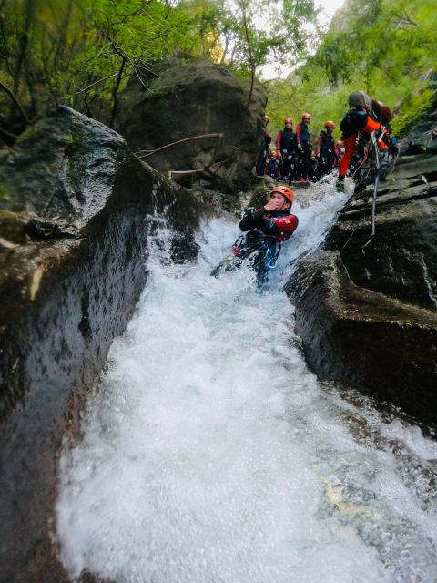 From Funchal: Moderate-Level Guided Canyoning Tour - Key Points