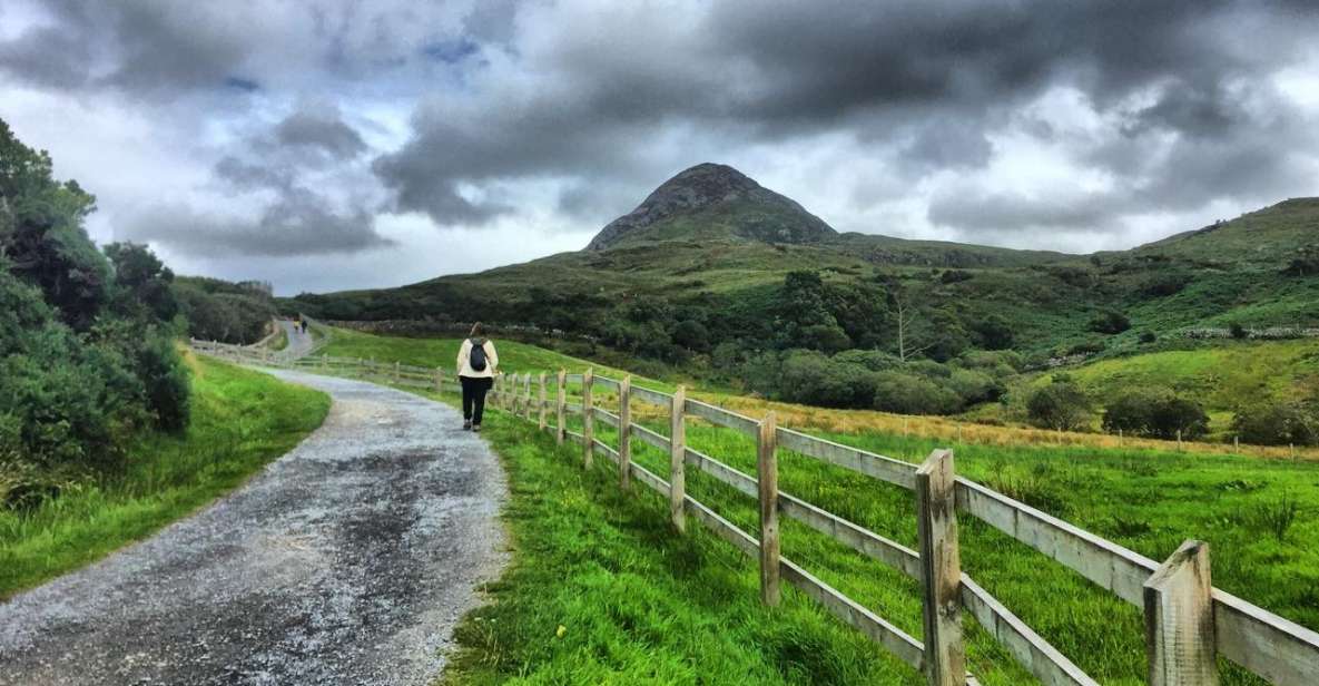 From Galway: Connemara and Connemara National Park Day Trip - Key Points