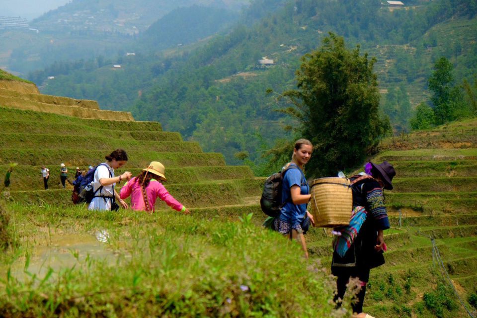 From Hanoi: 2-Day Sapa, Fansipan, and Muong Hoa Valley Tour - Key Points