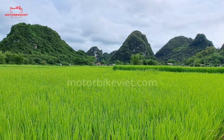 From Hanoi: Caobang Loop 3 Days 2 Nights Motorbike Tour - Key Points