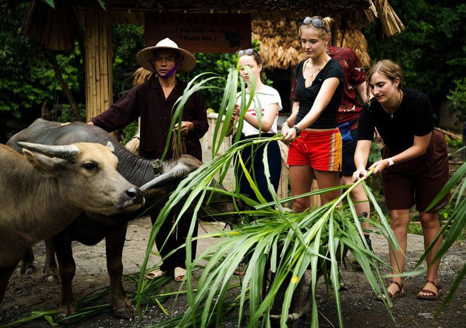 From Hanoi: Ninh Binh 3-Day Unique Trip With Buffalo Cave - Key Points