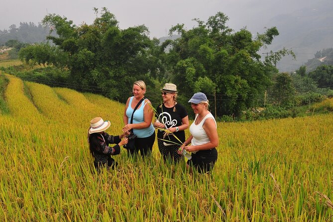 From Hanoi : Sapa Moutain Trek - Halong Bay Heritage - Visit to Luon Cave and Titop Island