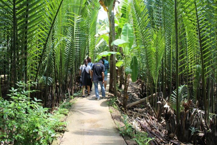 From HCM: Mekong Delta Small-Group Tour and Sampan Boat Ride - Key Points