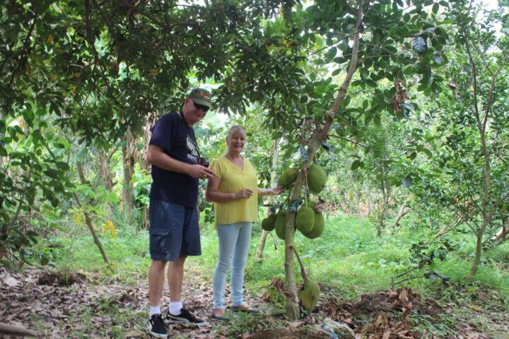 From Ho Chi Minh: Mekong Delta Private Day Tour - Key Points