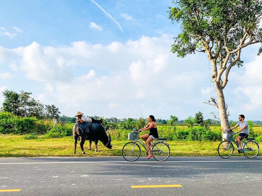 From Hoi An: Eco-Life Tour by Bicycle to Cam Kim Island - Key Points