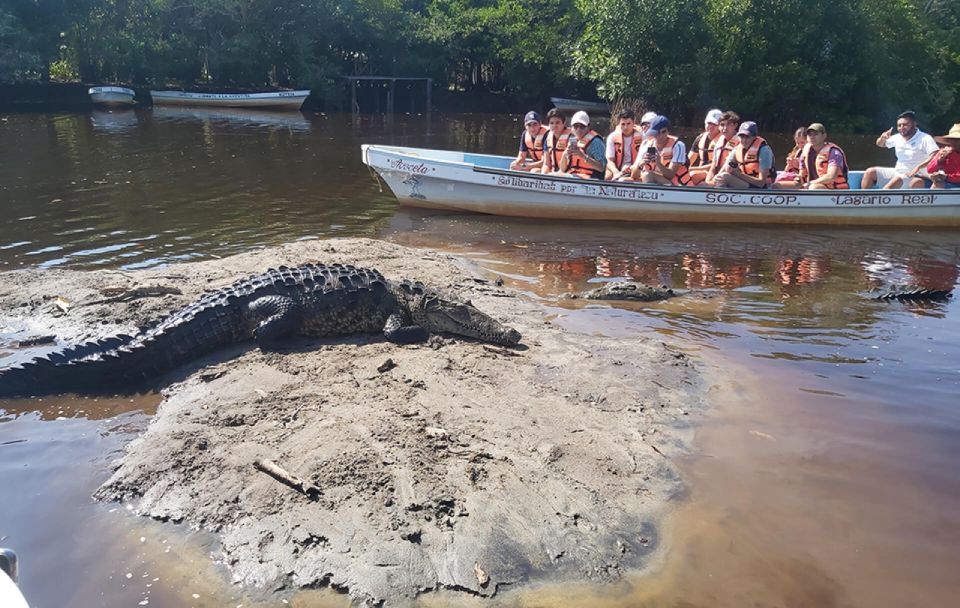 From Huatulco: Crocodiles and Turtles Eco Tour - Key Points