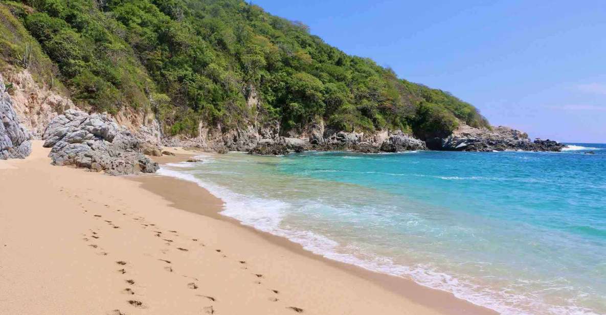 From Huatulco: Private 7 Bays Boat Tour - Key Points
