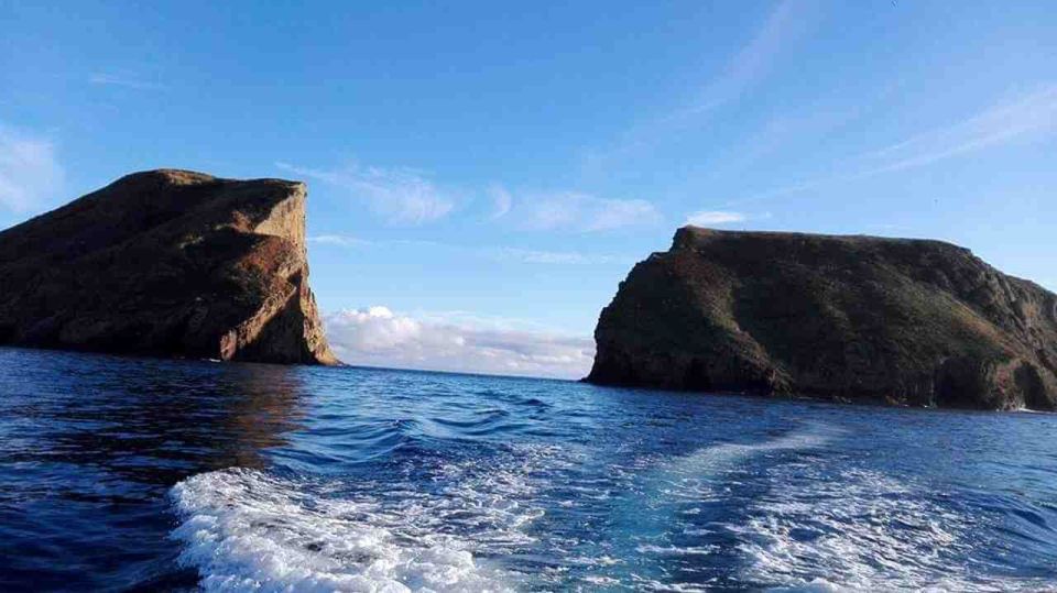 From Ilha Terceira: Ilhéu Das Cabras Snorkeling Boat Tour - Activity Details