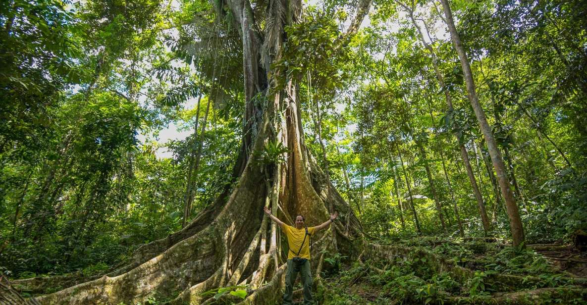 From Iquitos: 4-day Pacaya Samiria National Reserve Tour - Key Points