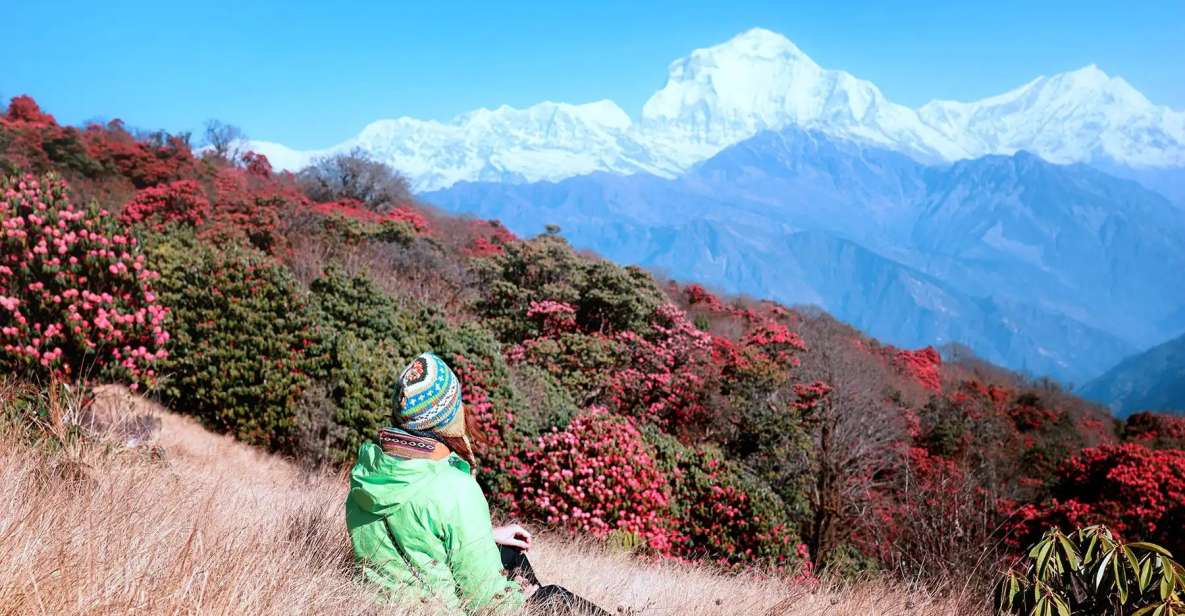 From Kathmandu: 6-Day Ghorepani, Poon Hill and Ghandruk Trek - Key Points