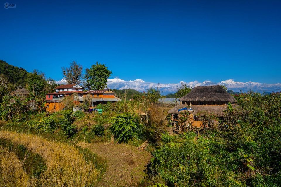 From Kathmandu: Millennium Trek Homestay Experience - Key Points