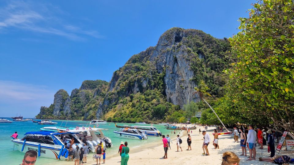 From Koh Lanta: Speedboat Tour to Phi Phi With Maya Bay - Key Points