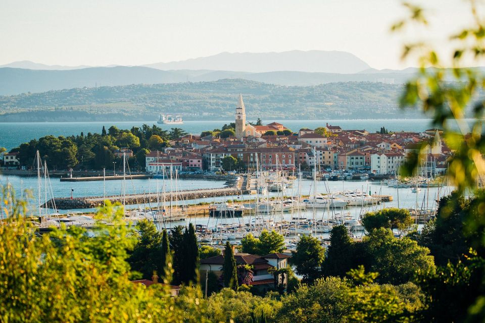 From Koper: Slovenian Riviera Bus Tour With Food Tastings - Booking Details