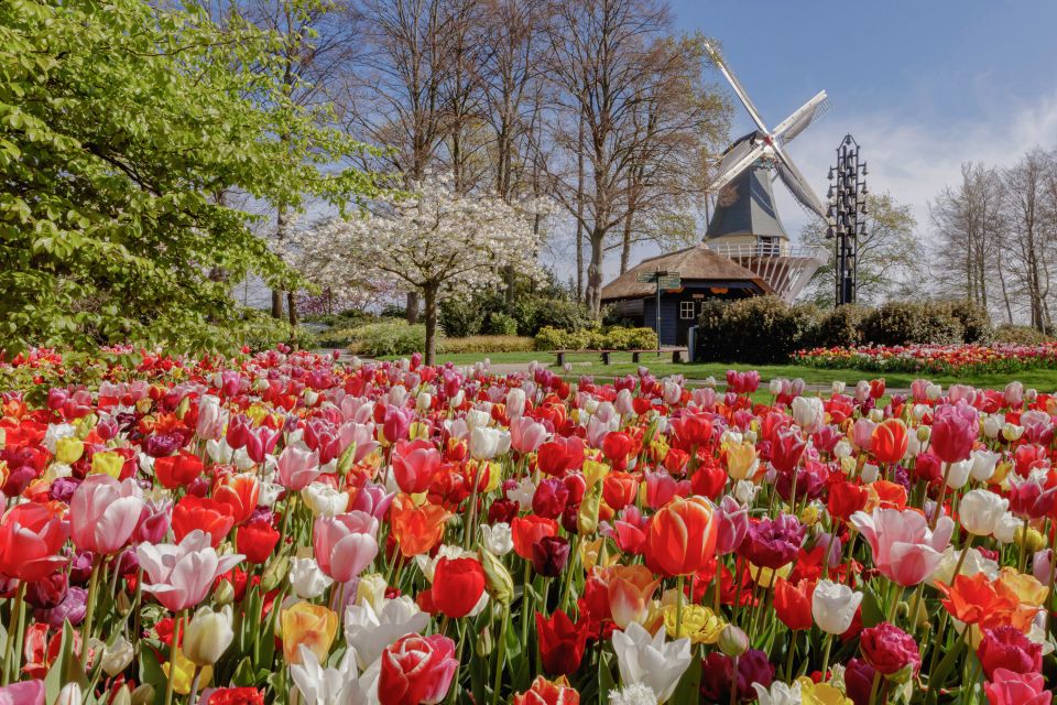 From Leiden Central: Keukenhof Ticket & Public Bus Transfer - Key Points