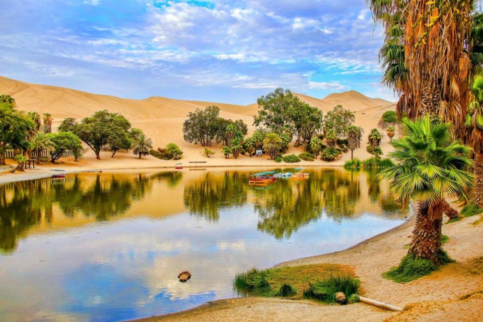 From Lima: Paracas and Huacachina Guided Desert Oasis Trip - Key Points