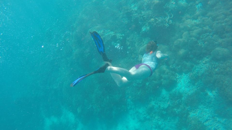 From Lombok: Southern Gilis Private Snorkelling Day Trip - Key Points