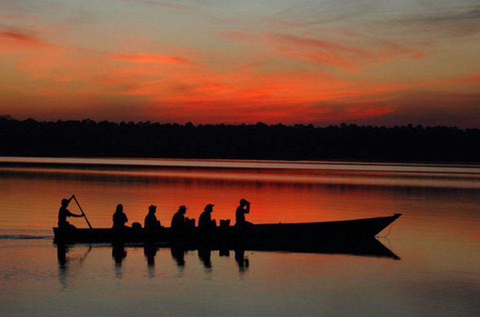 From Madre De Dios Night Trekking in the Amazon Rainforest - Key Points