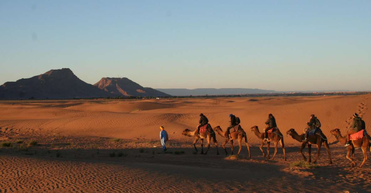 From Marrakech: 2-Day Zagora Desert Camp Trip - Key Points