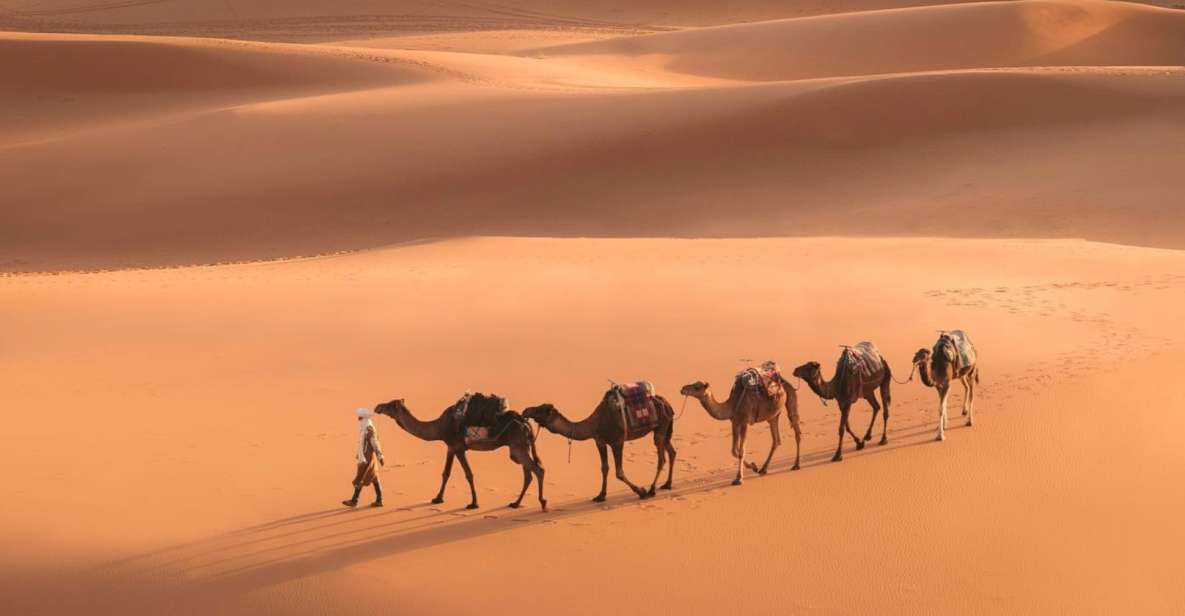 From Marrakech: 3-Day Merzouga and Sahara Desert Tour - Key Points