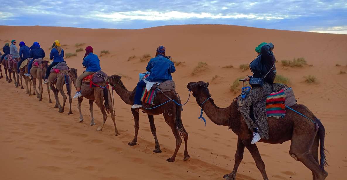 From Marrakech: 3-Day Trip to Fes via Merzouga Desert - Key Points