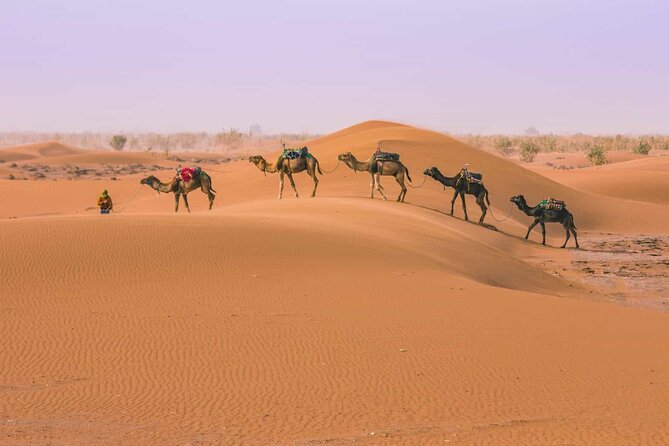 From Marrakech: 3 Days Desert Tour To Merzouga Camp & Camel Trek - Key Points