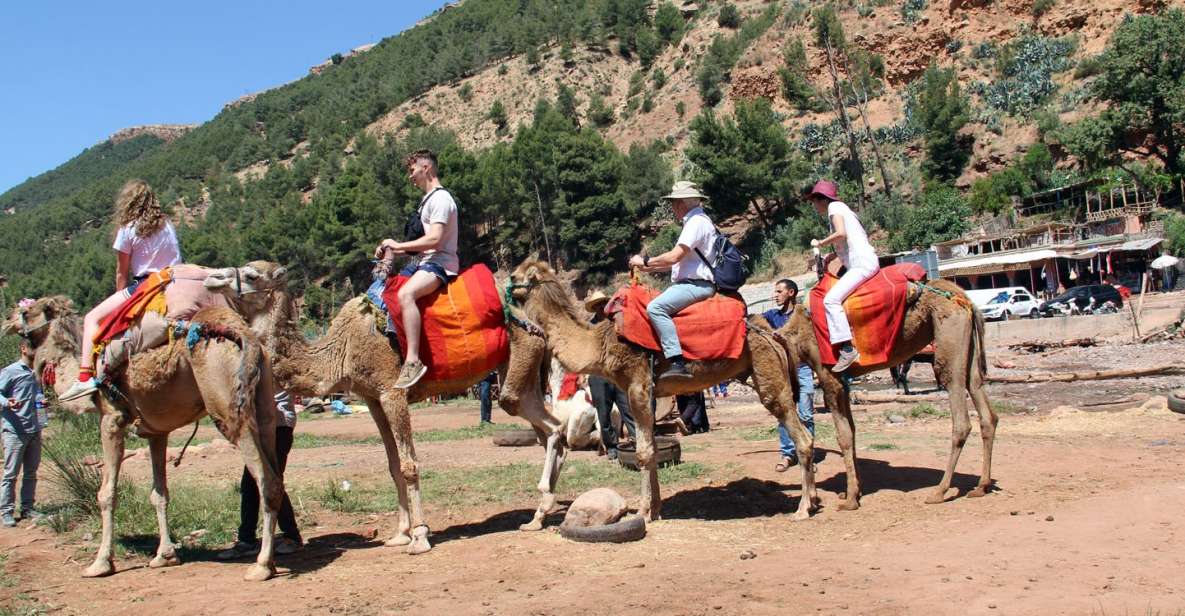 From Marrakech : Atlas Mountain, Berber Villages, Day Trip - Key Points