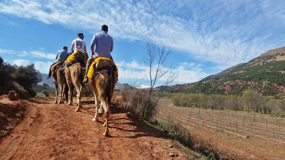 From Marrakech: Atlas Mountains 45-Minute Horseback Ride - Key Points