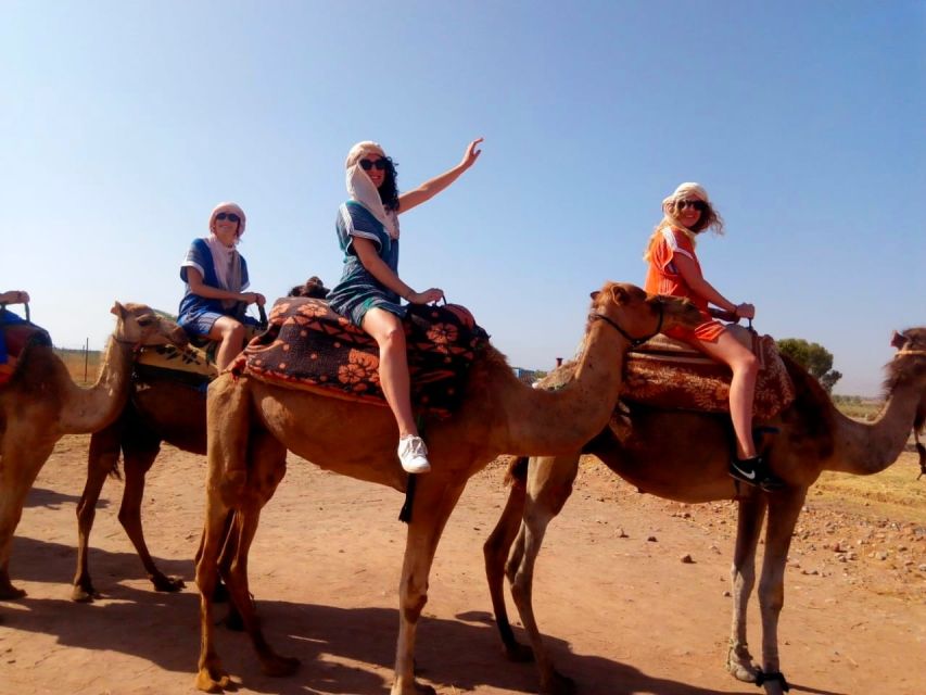 From Marrakech: Atlas Mountains and Three Valleys Day Trip - Booking Details