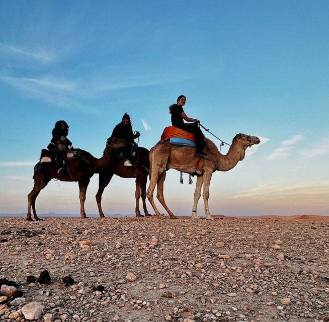 From Marrakech: Camel in Agafay Desert - Key Points