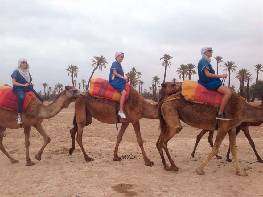 From Marrakech: Camel Ride, Quad Bike & Spa Full-Day Trip - Key Points