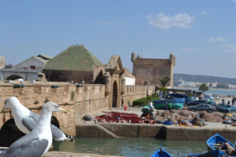 From Marrakech: Day Trip to the Coastal Town of Essaouira - Key Points