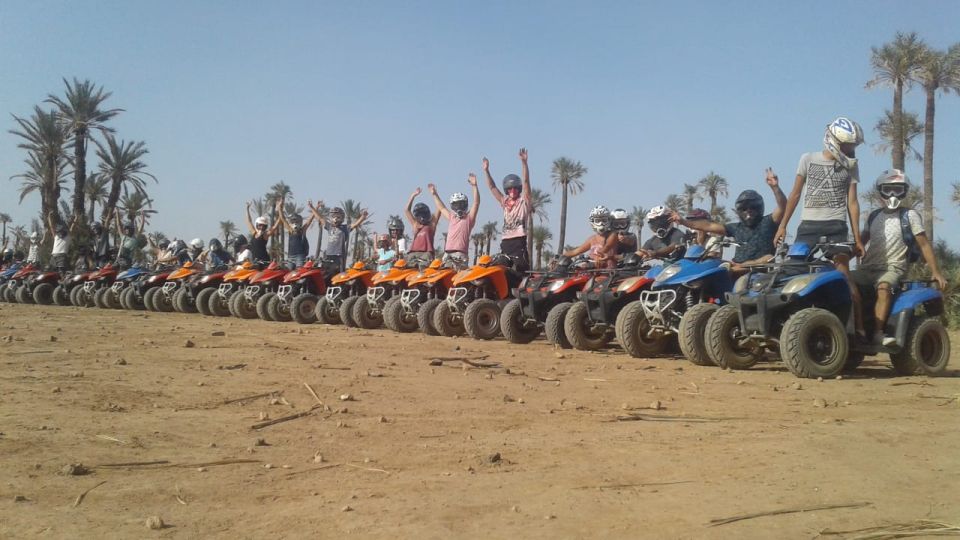 From Marrakech: Palm Grove Quad Bike Tour With Mint Tea - Key Points