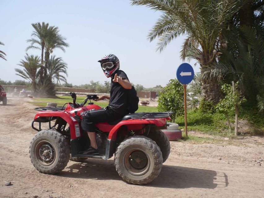 From Marrakech : Palm Grove Quad Bike Tour - Key Points