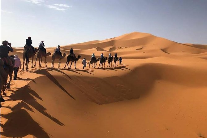 From Marrakech : Private 4 Days Desert Tour - Key Points